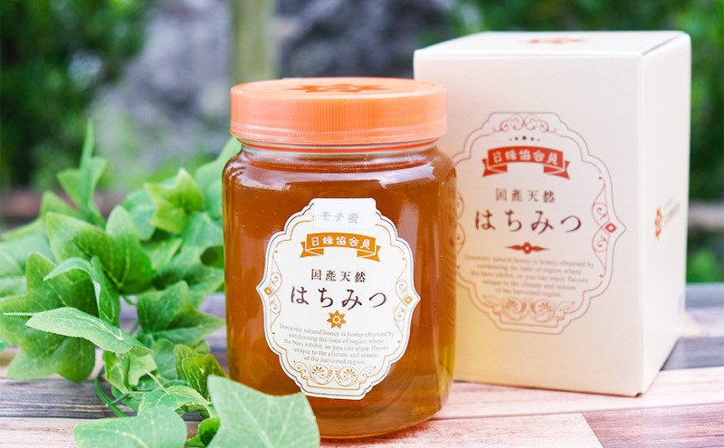 はちみつ 1kg 非加熱 国産 天然 純はちみつ もちの木 蜂蜜 ハチミツ 天然蜂蜜 天然はちみつ 国産はちみつ 国産蜂蜜 無添加 無加工 非加熱はちみつ 非加熱蜂蜜 瓶詰め 福岡 福岡県 小郡市