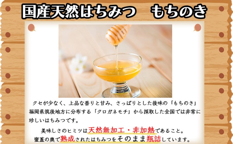 はちみつ 1kg 非加熱 国産 天然 純はちみつ もちの木 蜂蜜 ハチミツ 天然蜂蜜 天然はちみつ 国産はちみつ 国産蜂蜜 無添加 無加工 非加熱はちみつ 非加熱蜂蜜 瓶詰め 福岡 福岡県 小郡市