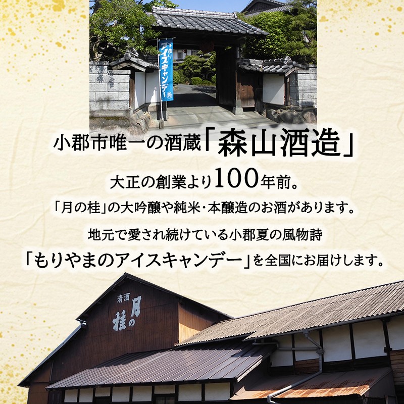 アイス もりやまのアイスキャンディー 40本入 セット 無添加 小郡 夏の風物詩 アイスキャンディー 4種 ミルク あずき チョコ 抹茶 デザート お楽しみ 
