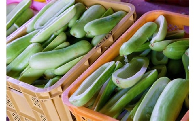 漬け物 無添加 特製 奈良漬け 樽詰め 約1.5kg (約200g×7～8枚)酒蔵の酒粕漬け 酒粕付 化粧箱入 大正の創業より100年 老舗 森山酒造 