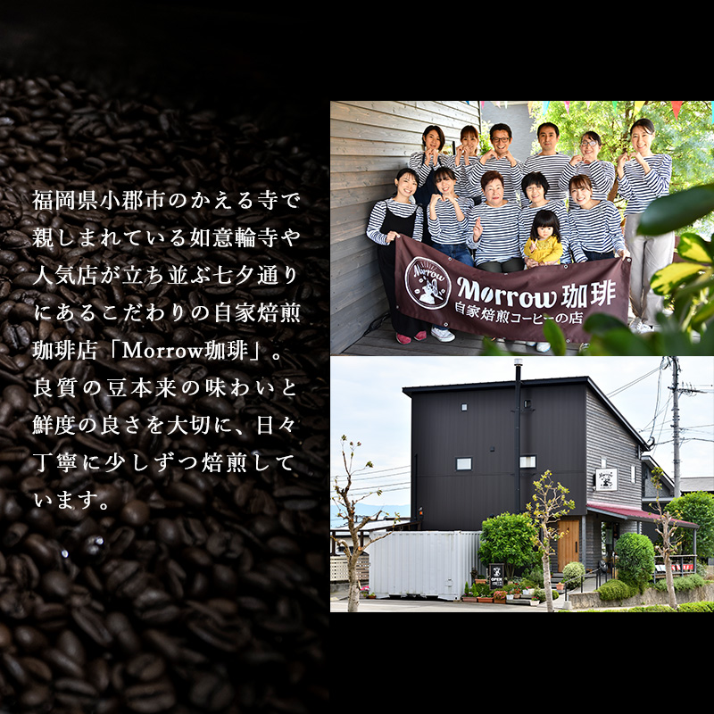 コーヒー 定期便 12ヶ月 自家焙煎 Morrow珈琲 100g×2種 粉 中挽き 