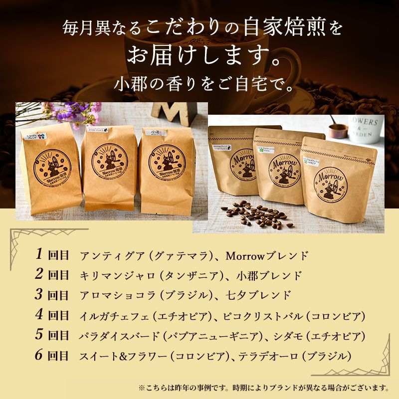 コーヒー豆 定期便 6ヶ月 自家焙煎 Morrow珈琲 2種 各100g セット 詰め合わせ レギュラーコーヒー 珈琲 コーヒー 珈琲豆 ドリップコーヒー ドリップ 自家焙煎珈琲 自家焙煎コーヒー 6回 半年 お楽しみ 福岡 福岡県 小郡市