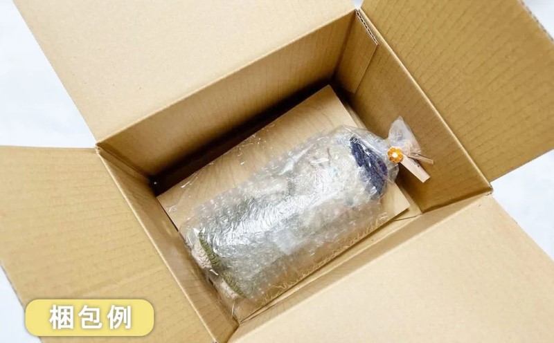 髮題イィ 縺サ縺」縺薙j蟇繧頑キサ縺 縺ゅ∩縺舌k縺ソ縺ョ逹縺帶崛縺医そ繝繝 縺縺輔℃縺。繧繧 縺ゅ∩縺舌k縺ソ