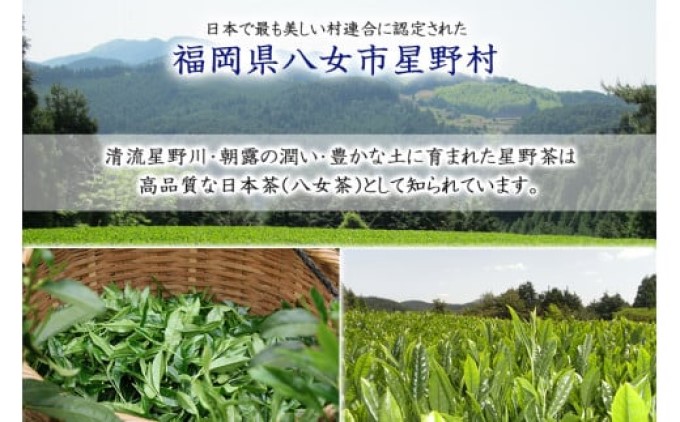八女茶 奥八女星野村 特別栽培茶 深蒸し 高級煎茶 (深蒸し茶) 100g×2袋 