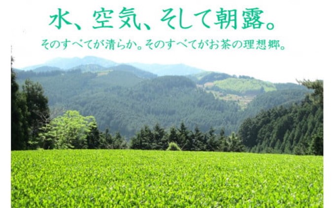 八女茶 奥八女星野村 特別栽培茶 深蒸し 高級煎茶 (深蒸し茶) 100g×2袋 