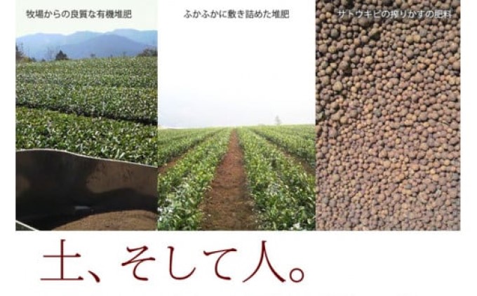 奥八女星野村　伝統本玉露[50g]×2袋 