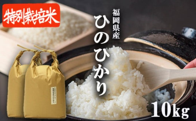 R7年度産 米 10kg 配送当日に精米します 小郡産 特A 特別栽培米 ひのひかり　白米 コメ 福岡県 お米 精米 ご飯 ごはん ヒノヒカリ国産 国産米 グルメ 食品