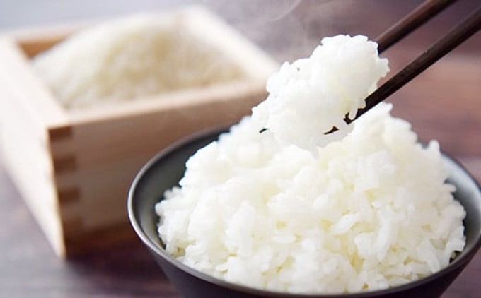 R7蟷エ蠎ヲ逕」 邀ウ 10kg 驟埼∝ス捺律縺ォ邊セ邀ウ縺励∪縺 蟆城Γ逕」 迚ケA 迚ケ蛻・譬ス蝓ケ邀ウ 縺イ縺ョ縺イ縺九j縲逋ス邀ウ 繧ウ繝。 遖丞イ。逵 縺顔アウ 邊セ邀ウ 縺秘」ッ 縺斐ッ繧 繝偵ヮ繝偵き繝ェ蝗ス逕」 蝗ス逕」邀ウ 繧ー繝ォ繝。 鬟溷刀