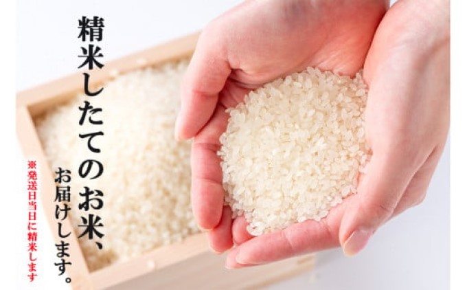 R7蟷エ蠎ヲ逕」 邀ウ 10kg 驟埼∝ス捺律縺ォ邊セ邀ウ縺励∪縺 蟆城Γ逕」 迚ケA 迚ケ蛻・譬ス蝓ケ邀ウ 縺イ縺ョ縺イ縺九j縲逋ス邀ウ 繧ウ繝。 遖丞イ。逵 縺顔アウ 邊セ邀ウ 縺秘」ッ 縺斐ッ繧 繝偵ヮ繝偵き繝ェ蝗ス逕」 蝗ス逕」邀ウ 繧ー繝ォ繝。 鬟溷刀