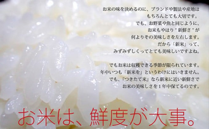 R7蟷エ蠎ヲ逕」 邀ウ 10kg 驟埼∝ス捺律縺ォ邊セ邀ウ縺励∪縺 蟆城Γ逕」 迚ケA 迚ケ蛻・譬ス蝓ケ邀ウ 縺イ縺ョ縺イ縺九j縲逋ス邀ウ 繧ウ繝。 遖丞イ。逵 縺顔アウ 邊セ邀ウ 縺秘」ッ 縺斐ッ繧 繝偵ヮ繝偵き繝ェ蝗ス逕」 蝗ス逕」邀ウ 繧ー繝ォ繝。 鬟溷刀