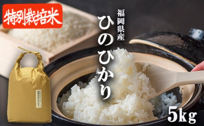 R7年度産 米 5kg 発送当日に精米します 小郡産 特A 特別栽培米 ひのひかり　白米 コメ 福岡県 お米 精米 ご飯 ごはん ヒノヒカリ国産 国産米 グルメ 食品