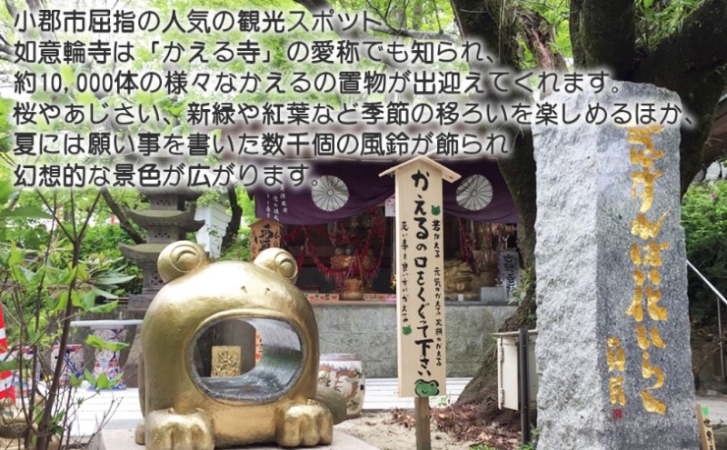 定期便 12ヶ月 明太子 さかえや 頑張れ小郡市！ 蔵出し明太子 ギフト 300g×毎月 12回 オリジナルマグネット付 