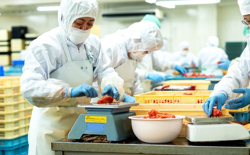 定期便 12ヶ月 明太子 さかえや 頑張れ小郡市！ 蔵出し明太子 ギフト 300g×毎月 12回 オリジナルマグネット付 