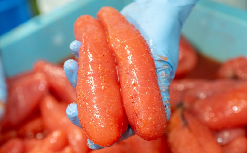 定期便 12ヶ月 明太子 さかえや 頑張れ小郡市！ 蔵出し明太子 ギフト 300g×毎月 12回 オリジナルマグネット付 