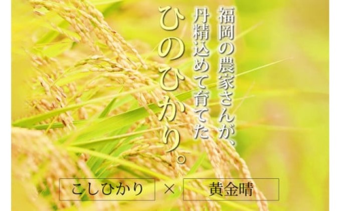 R7年度産 無洗米 10kg 福岡県産 ひのひかり　米 白米 コメ 福岡県 お米 ご飯 ごはん ヒノヒカリ国産 国産米 グルメ 食品