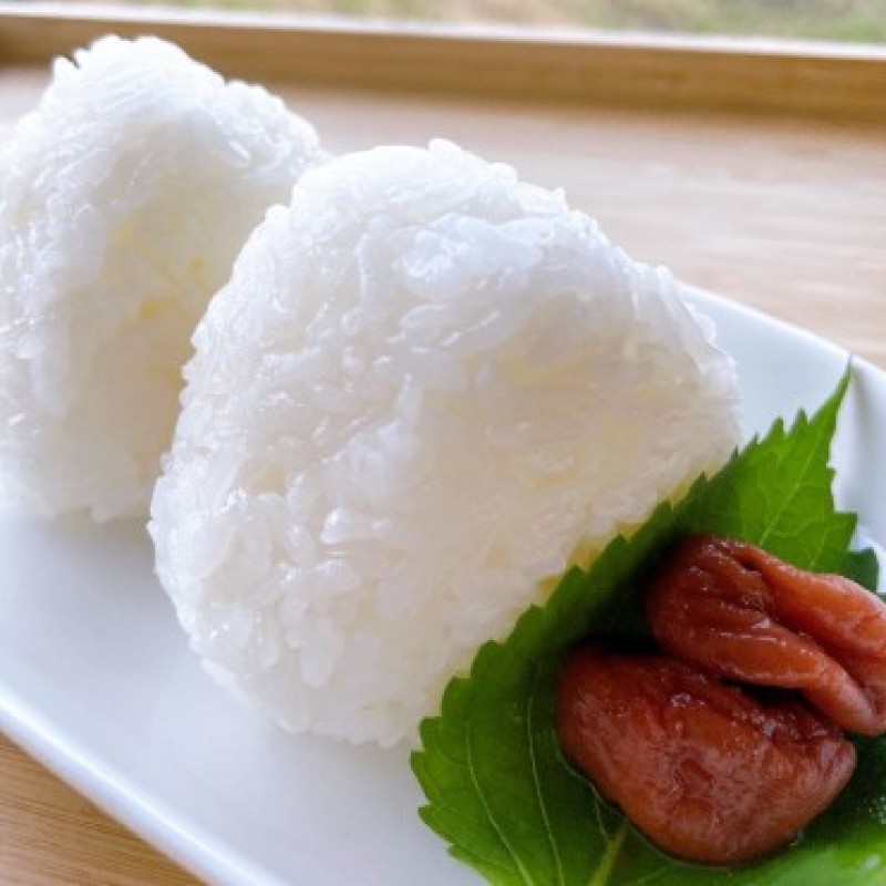 米 5kg 令和7年度産米 ひのひかり 筑後小郡産 農家直送 お米 コメ 