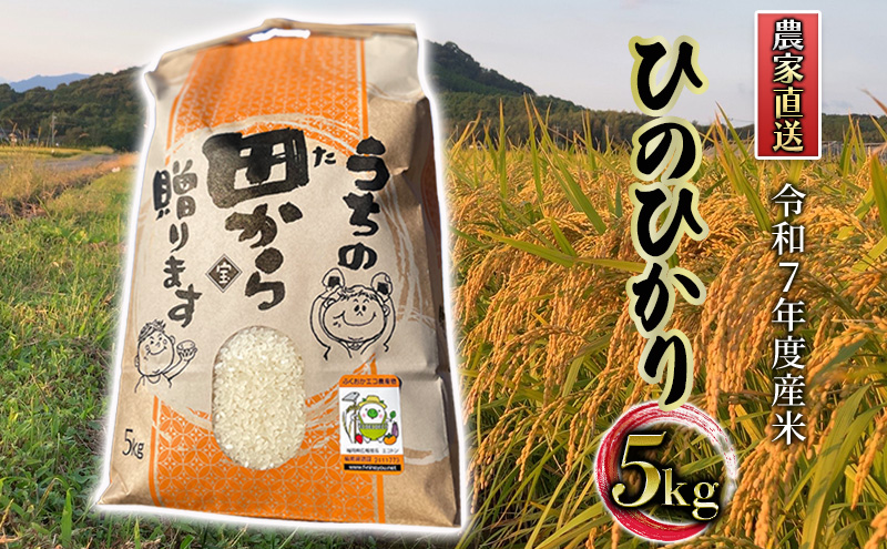 米 5kg 令和7年度産米 ひのひかり 筑後小郡産 農家直送 お米 コメ