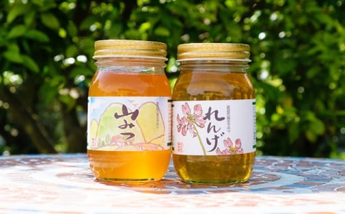 はちみつ 国産 天然 純はちみつ 600g×2本セット やまみつ＆れんげ ハチミツ 蜂蜜