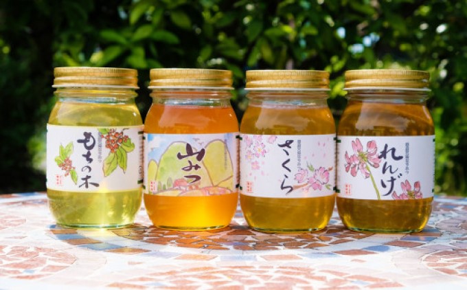はちみつ 国産 天然 純はちみつ 600g×4本セット れんげ＆やまみつ＆さくら＆もちのき ハチミツ 蜂蜜