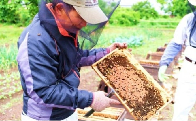 縺ッ縺。縺ソ縺、 遖丞イ。逵 迚ケ逕」 螟ゥ辟カ 蝗ス逕」 邏斐ッ縺。縺ソ縺、 蜷1kg 繧ゅ■縺ョ縺搾シ繧縺セ縺ソ縺、 繝上メ繝溘ヤ 陷り惧
