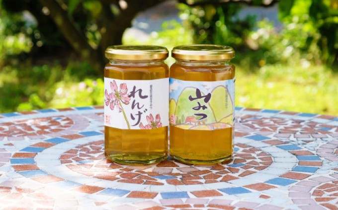 はちみつ 国産 天然 純はちみつ 370g×2本セット やまみつ＆れんげ ハチミツ 蜂蜜