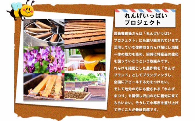 はちみつ 国産 天然 純はちみつ ナッツ＆ハニー 150g×2本 ハチミツ 蜂蜜 ハニーベル 
