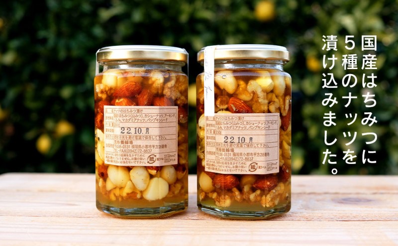 はちみつ 国産 天然 純はちみつ ナッツ＆ハニー 350g×2本 ハチミツ 蜂蜜 ハニーベル 