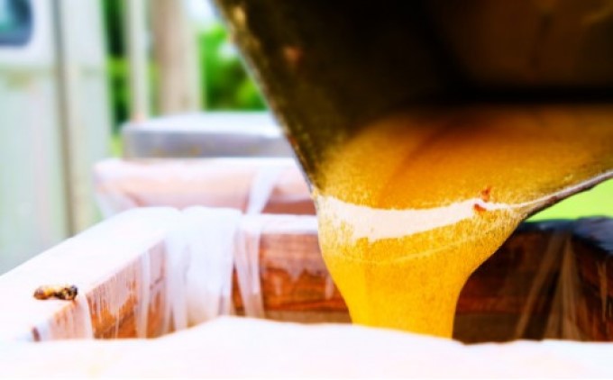 遏ウ鮖ク 蝗ス逕」 螟ゥ辟カ 邏斐ッ縺。縺ソ縺、 鬮俶ソ蠎ヲ驟榊粋繧ウ繧ケ繝。 逕溘ッ縺。縺ソ縺、遏ウ縺代s 2蛟 縺帙▲縺代s 鄒主ョケ 繝上ル繝シ繝吶Ν