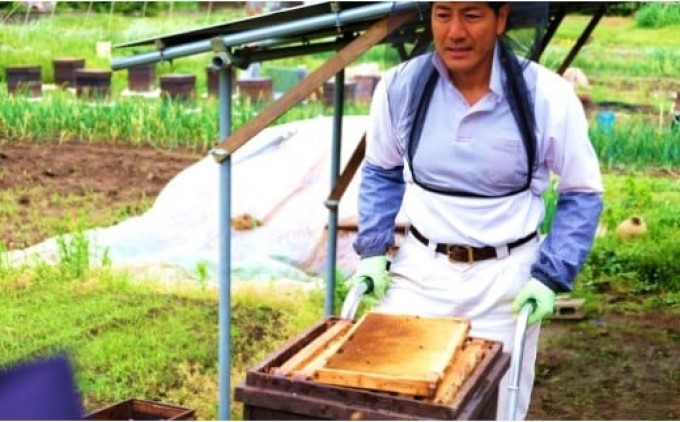 ã¯ã¡ã¿ã€ åœç£ å€©ç¶ çŽã¯ã¡ã¿ã€ 370gÃ3çš® ã¢ãœãŒã è±ããã¿ ã»ãã ãäžå
èŽç ã®ãã