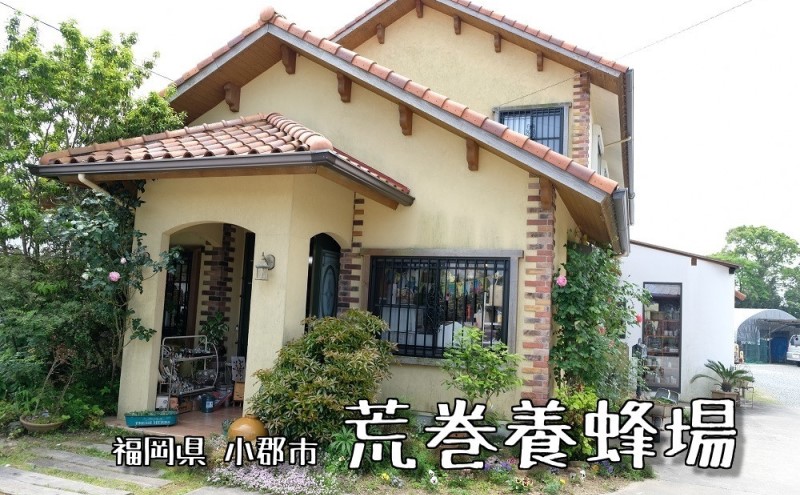 はちみつ 化粧箱入り 国産 天然 純はちみつ もちのき 1kg ギフト 《包装対応、手提げ袋付》 