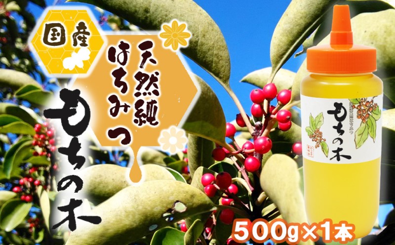 はちみつ 福岡県 筑後地方特産 国産 天然 純はちみつ もちのき 500g ハチミツ 蜂蜜