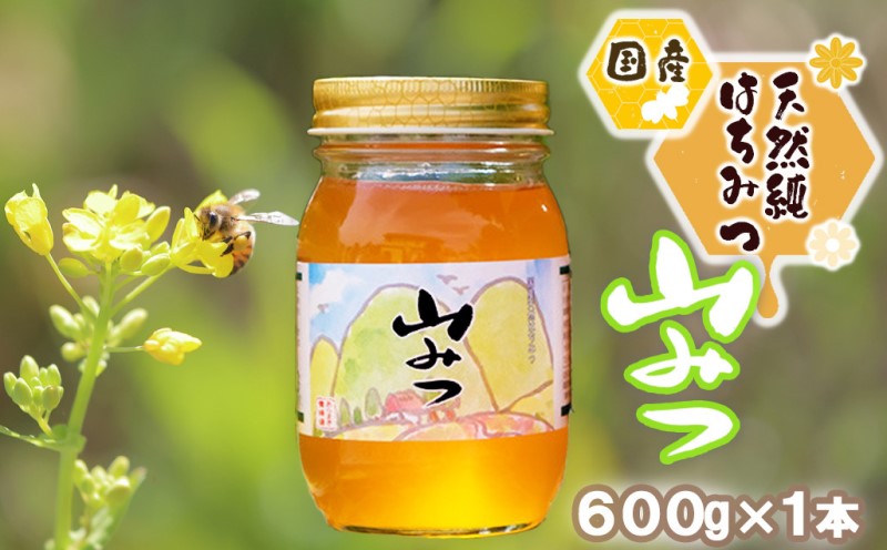 はちみつ 国産 天然 純はちみつ やまみつ 600g ハチミツ 蜂蜜