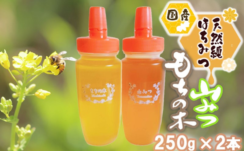 はちみつ 国産 天然 純はちみつ 250g×2本 もちのき＆やまみつ ハチミツ 蜂蜜