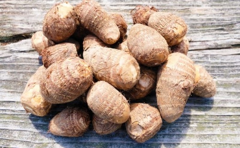 里芋 ねっとりもちもち 小郡産の里芋 白芽大吉 2.5kg ふくおかエコ農産物認証 ゆうき自然農場 野菜 芋