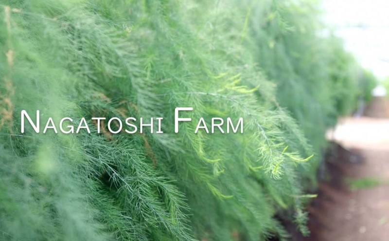 【先行予約】発送2026年4月 アスパラガス 小郡産 朝採りアスパラガス 1kg (L、2Lサイズ混) 野菜 永利農園 