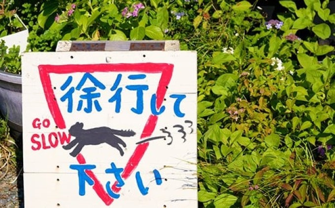 繝壹ャ繝育畑蜩 迪ォ縺。繧繧捺Φ縺縺ョ迪ォ蝙 繝輔シ繝峨せ繧ソ繝ウ繝 繝帙Ρ繧、繝 繝壹ャ繝 迪ォ 縺ュ縺