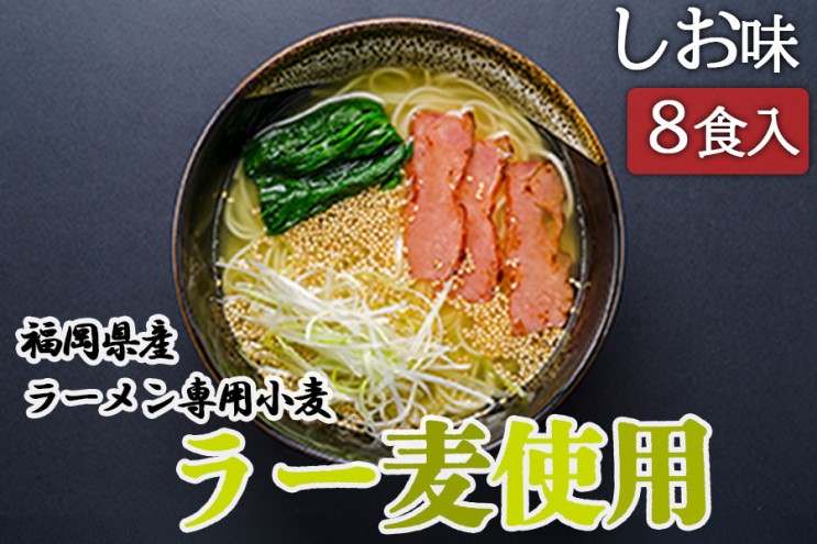 しお ラーメン 福岡県産 ラー麦使用 しおラーメン 8食入 塩 たなばたの里
