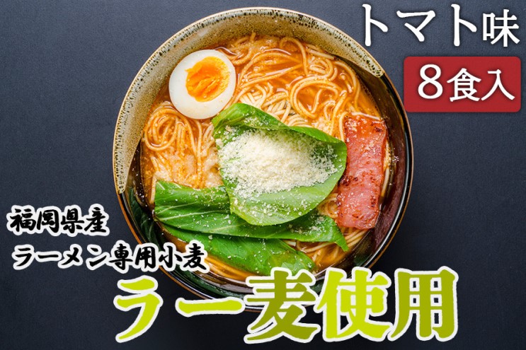 ラーメン 福岡県産 ラー麦使用 トマトラーメン 8食入 たなばたの里