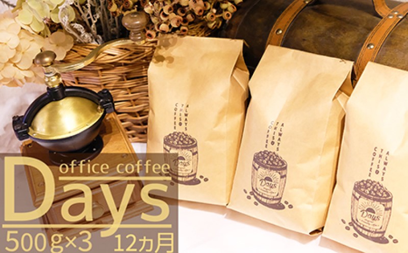 定期便 12ヶ月 自家焙煎 オフィスコーヒー Days マイルドブレンド 500g×3 豆 12回 お楽しみ Morrow珈琲