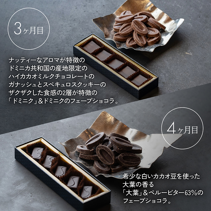【定期便/6回】ボンボンショコラ5個&フェーブ80g（コイン状チョコレート）／NICOchocolaterie チョコレート チョコレート専門店 ボンボンショコラ スイーツ お菓子 贈答用 ギフト お取り寄せ 福岡県 小郡市 