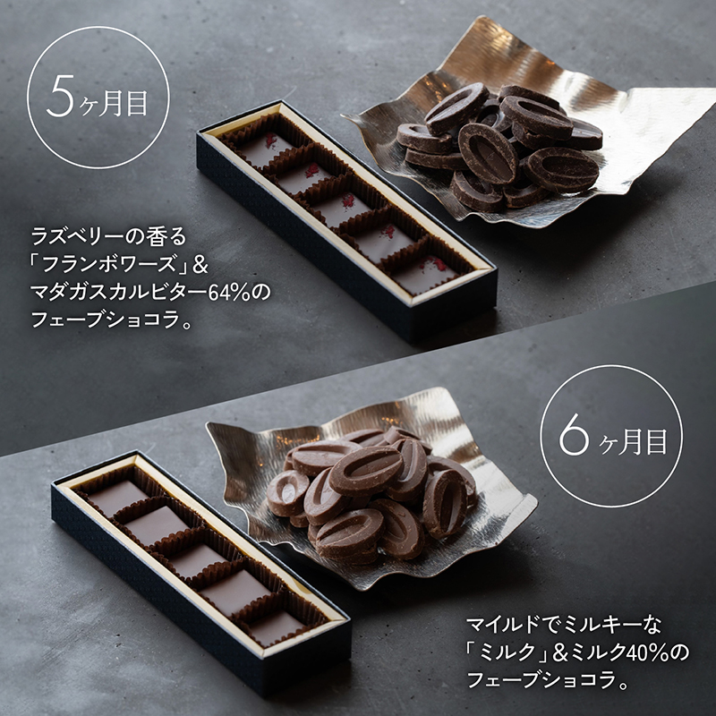【定期便/6回】ボンボンショコラ5個&フェーブ80g（コイン状チョコレート）／NICOchocolaterie チョコレート チョコレート専門店 ボンボンショコラ スイーツ お菓子 贈答用 ギフト お取り寄せ 福岡県 小郡市 