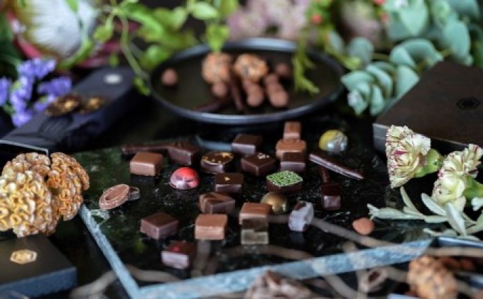 オリジナルチョコレート「ロデッセイ」コイン状チョコレート16枚入り／NICOchocolaterie チョコレート チョコレート専門店 ボンボンショコラ スイーツ お菓子 贈答用 ギフト お取り寄せ 福岡県 小郡市 