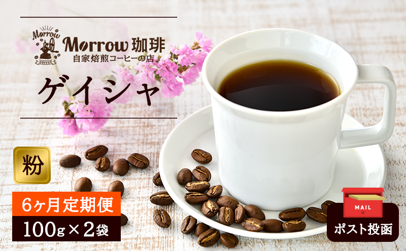 定期便 6ヶ月 世界最高峰 珈琲の一つ ゲイシャ (粉) 100g×2 ポスト投函 珈琲 コーヒー 6回 お楽しみ Morrow珈琲