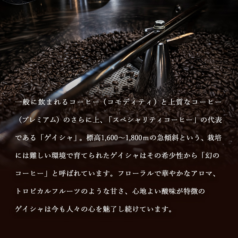 定期便 6ヶ月 世界最高峰 珈琲の一つ ゲイシャ (粉) 100g×2 ポスト投函 珈琲 コーヒー 6回 お楽しみ Morrow珈琲 