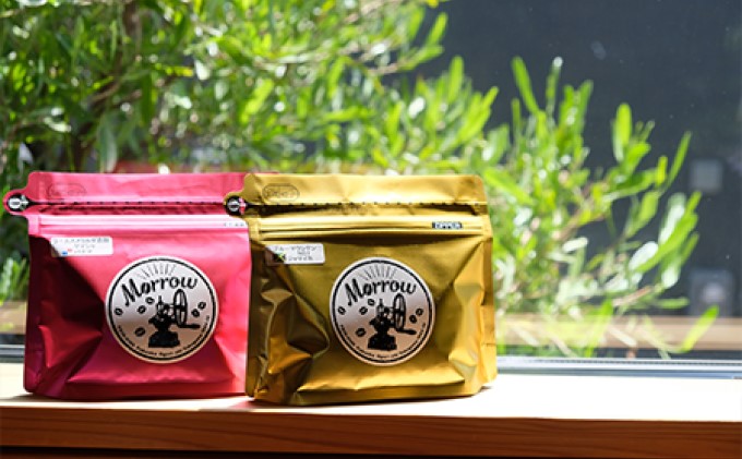 定期便 12ヶ月 自家焙煎 ブルーマウンテンNo.1&ゲイシャ (豆) 各100g ポスト投函 珈琲 コーヒー 12回 お楽しみ Morrow珈琲 