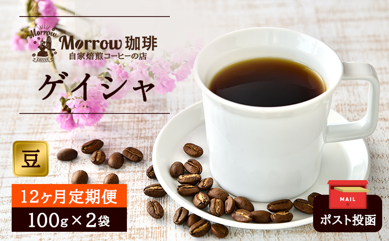コーヒー豆 定期便 12ヶ月 Morrow珈琲 ゲイシャ 200g (100g×2) レギュラーコーヒー 珈琲 コーヒー 珈琲豆 ドリップコーヒー ドリップ 自家焙煎珈琲 自家焙煎コーヒー 12回 1年 お楽しみ 福岡 福岡県 小郡市