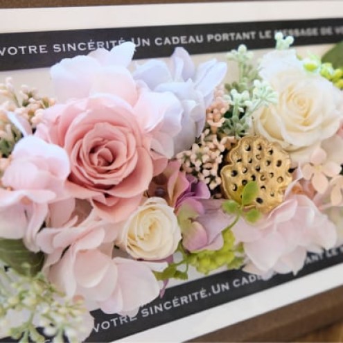 繝励Μ繧カ繝シ繝悶ラ繝輔Λ繝ッ繝シ 繧「繝ャ繝ウ繧ク 繝帙Ρ繧、繝医え繝繝峨ヵ繝ャ繝シ繝 繧ア繝シ繧ケ莉倥″ 繝斐Φ繧ッ 繧、繝ウ繝繝ェ繧「 闃ア