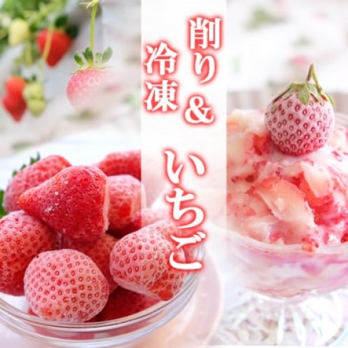 いちご 冷凍いちご 1kg＆削りいちご 400g 練乳付き イチゴ 苺 果物 デザート ベリー畑 福田ファーム ※配送不可：沖縄、離島