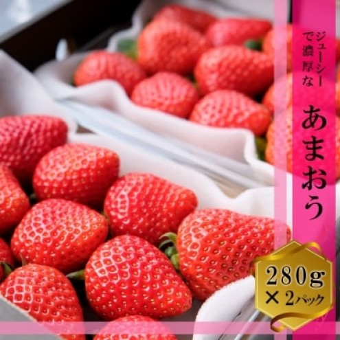 いちご 2パック (280g×2) あまおう いちごの王様 苺 イチゴ 果物 くだもの フルーツ 旬のフルーツ 季節のフルーツ 旬の果物 季節の果物 福岡 福岡県 小郡市 ※配送不可：沖縄、離島