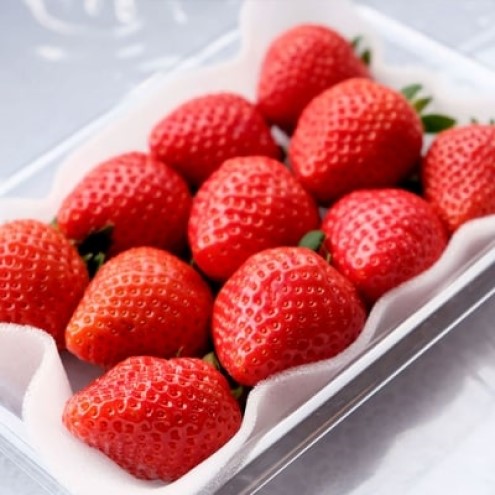 いちご 2パック (280g×2) あまおう いちごの王様 苺 イチゴ 果物 くだもの フルーツ 旬のフルーツ 季節のフルーツ 旬の果物 季節の果物 福岡 福岡県 小郡市 ※配送不可：沖縄、離島